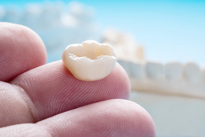 Closeup / Prosthodontics or Prosthetic / Single teeth crown and bridge equipment model express fix restoration.